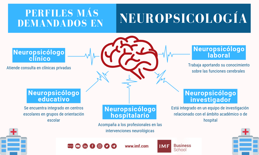 Perfiles Más Demandados En Neuropsicología