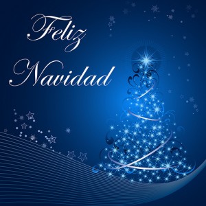 FELIZ NOCHEBUENA Y FELIZ NAVIDAD 2013 • Energías Renovables