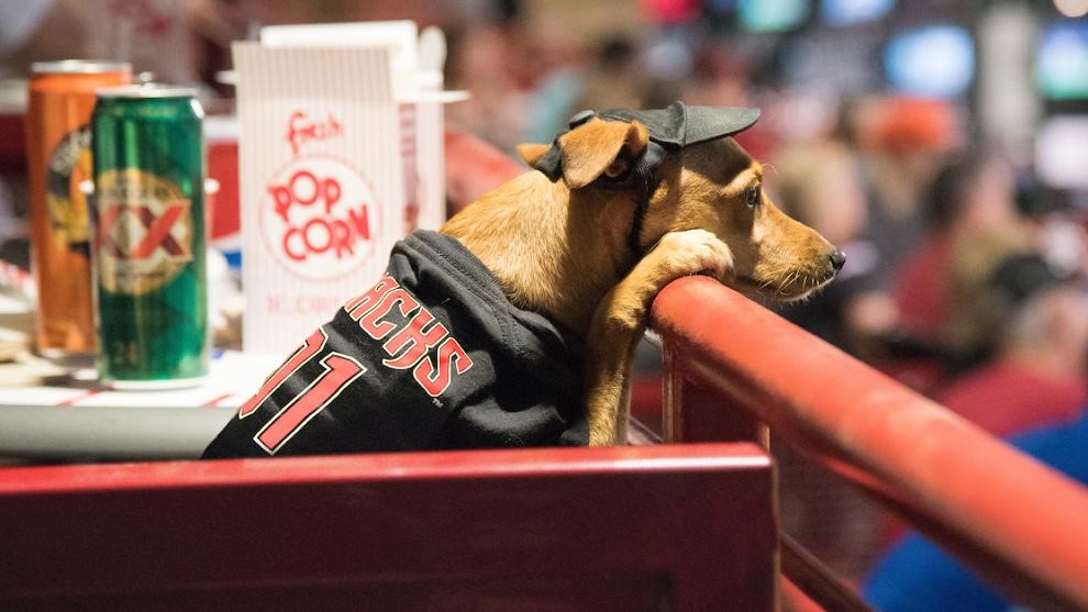 Arizona Diamondbacks Stadium marketing